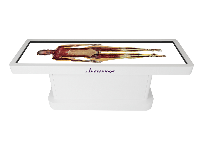 Premium Anatomy Table Solutions by MAVERICK SIMULATION SOLUTIONS LIMITED
