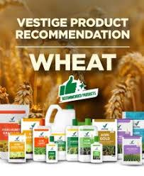 Vestige Products: Trusted Wellness Solutions by Herbalfit Mart